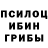 Псилоцибиновые грибы прущие грибы Pima Ms