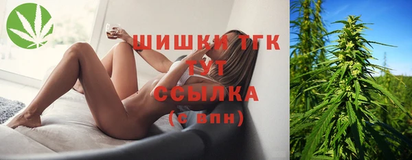 сатива Карталы