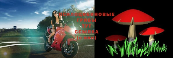 соль ск Каменногорск