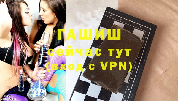 скорость Щигры