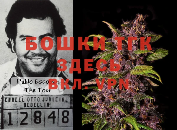 ECSTASY Каменка