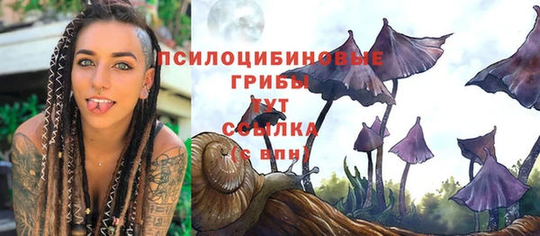 ECSTASY Каменка
